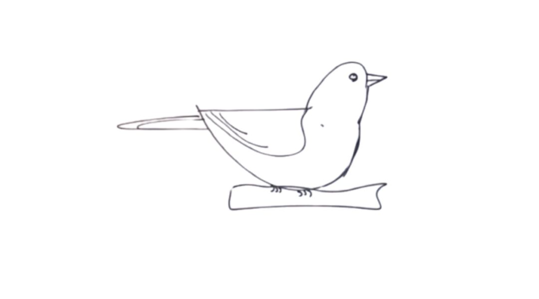 Bird drawing