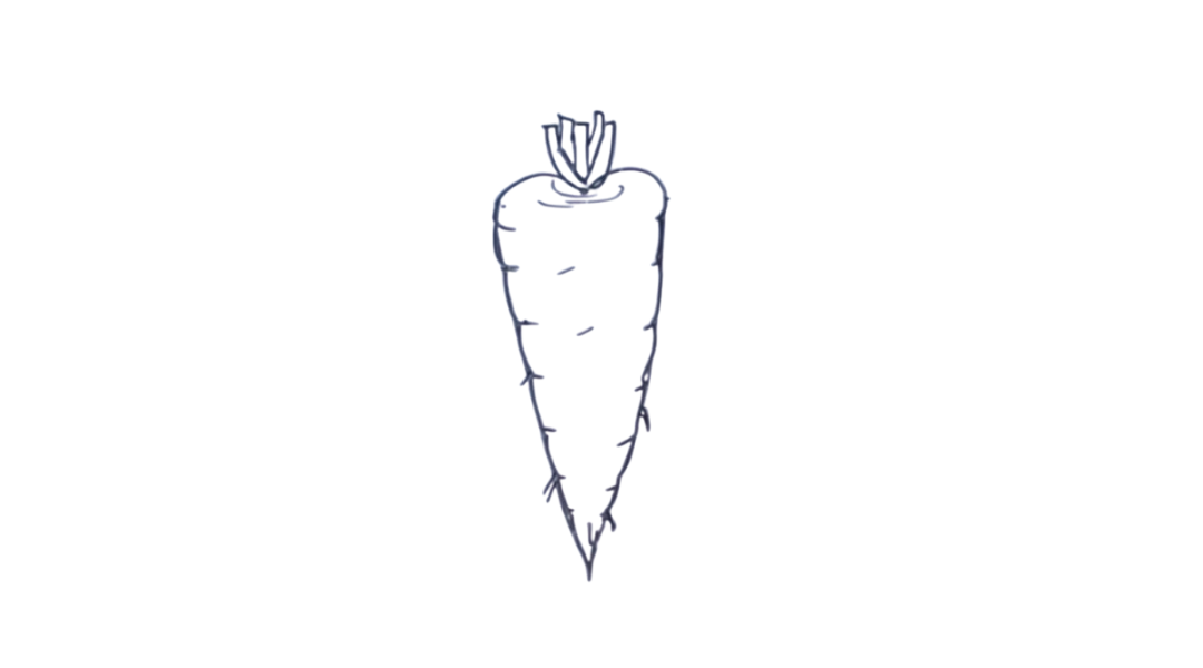 Carrot drawing