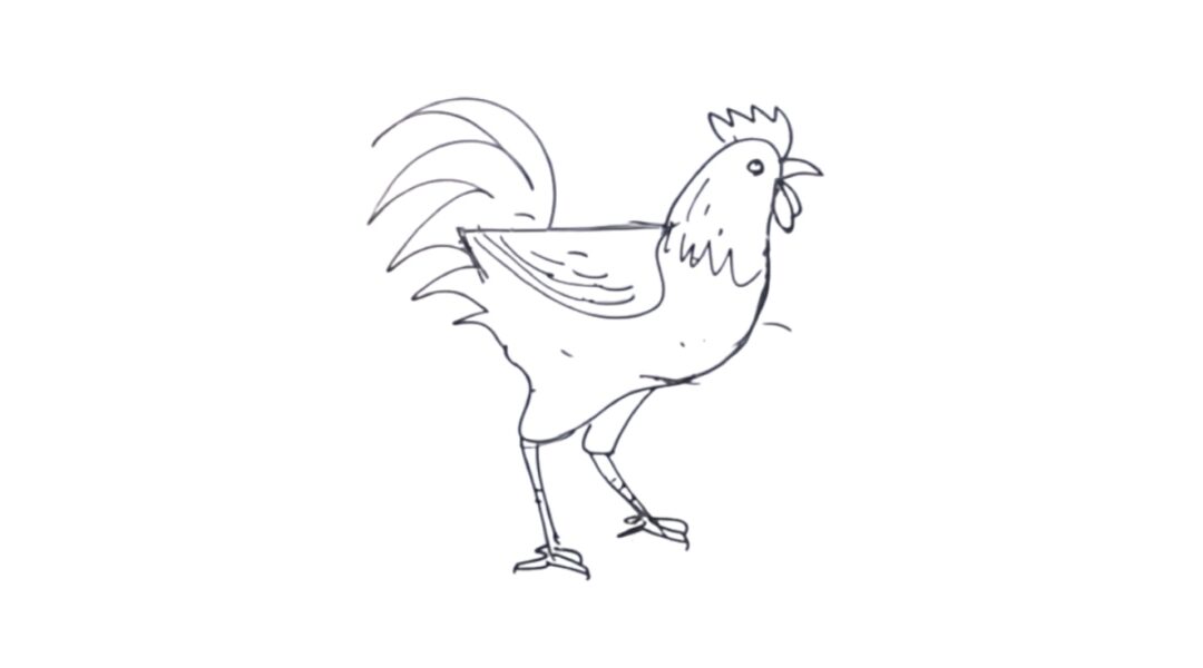 Chicken drawing