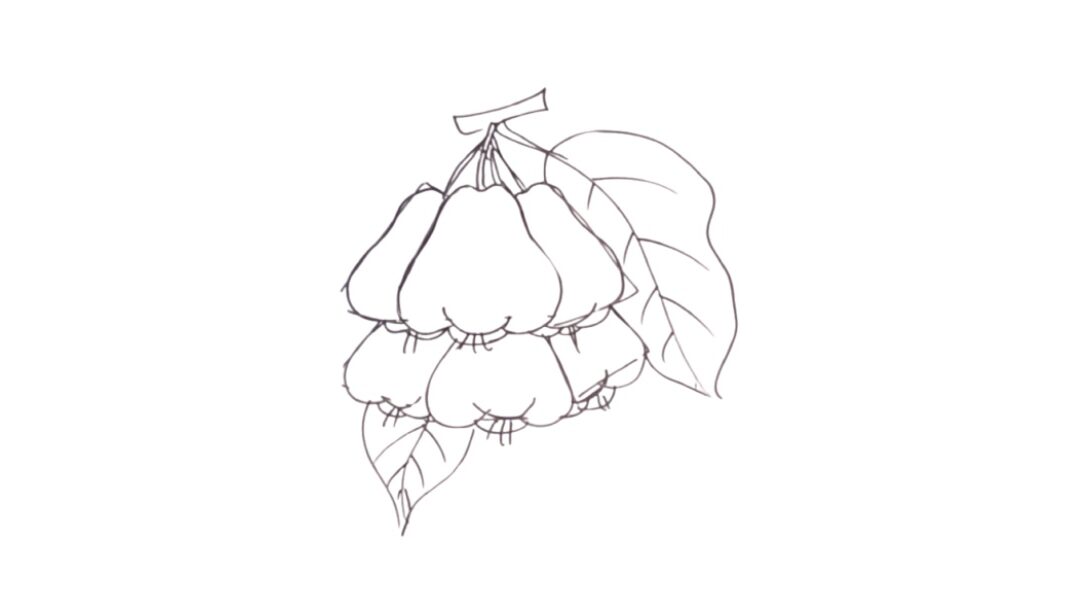 Java apple drawing