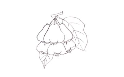 Java apple drawing