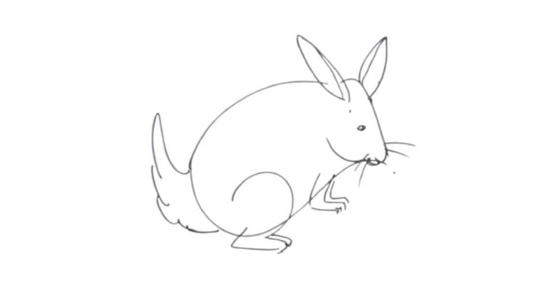 Rabbit Drawing idea