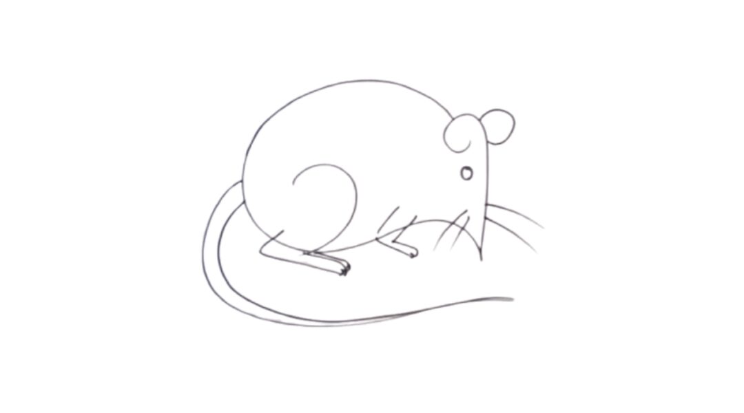 Rat drawing